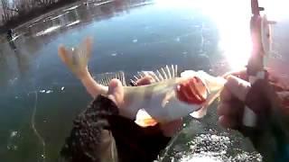 Первый лед сезона 2018-2019 ПингвинингWinter fishing