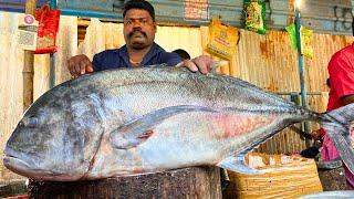 KASIMEDU  SPEED SELVAM  37 KG GIANT TREVALLY FISH CUTTING VIDEO  IN KASIMED  FF CUTTING 