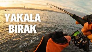 YAKALA BIRAK LEVREK AVI  İzmir Balık Avı  Atçek Spin Lrf  Su Üstü WTD Levrek Sahteleri  Fishing