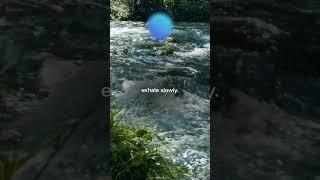 Youve stumbled upon Calm River stay and enjoy the sounds for a minute.  #shorts