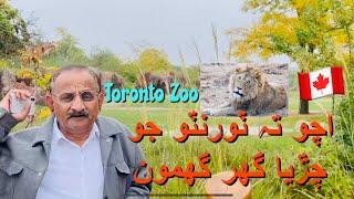 Toronto Zoo Travel Vlog  Sindhis in Canada 