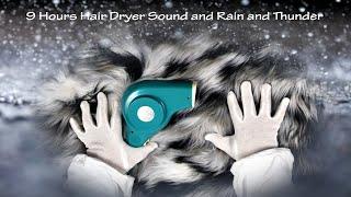 Hair Dryer Sound 212 and Rain and Thunder  Playing with a Fur  9 Hours Lullaby to Sleep and Relax