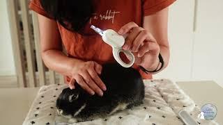 Buns Best Life Grooming Kit