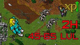 Tibia 2022 low level hunt Edron bonebeast  45-65 in 2 hours.  Best exp spawn MS ED RP and EK.