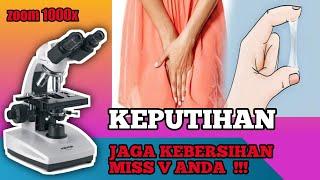 ZOOM 1000X‼️KEPUTIHAN MISS V