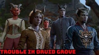 Trouble In Druid Grove  Baldurs gate 3  Ultra 2K