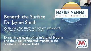 Beneath The Surface Algal Blooms and Their Impact on Our Oceans And Pinnipeds With Dr. Jayme Smith