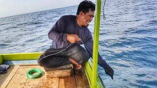 LUAR BIASA  AKHIRNYA DAPAT SAMBARAN IKAN BESAR TARIKANNYA SANGAT KUAT