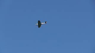 Foamy warbirds formation