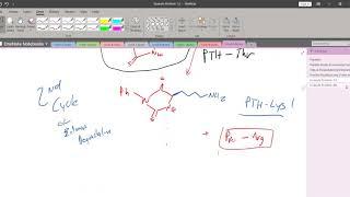 Chem008C Week 9 Wed PART 2 - Practice Problems with Reading Peptide Chains