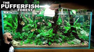 The Amazon Pufferfish Forest EPIC 4ft Aquascape Tutorial