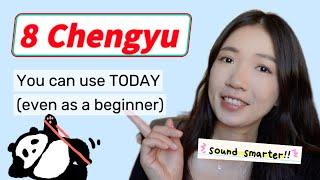 8 成语 chéngyǔ Chinese four-character idioms you can use TODAY Even as a beginner