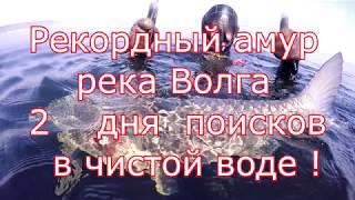 подводная охота на волге Рекордный Амур