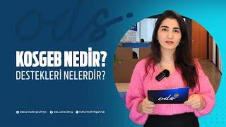 KOSGEB Nedir? Destekleri Nelerdir?