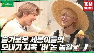 GOING SEVENTEEN EP.14 버논에서 모처럼 모내기를 하며 모든 내기를 해보았다 #1 Planting Rice and Making Bets #1