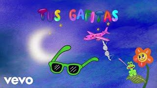 KAROL G - Tus Gafitas Visualizer