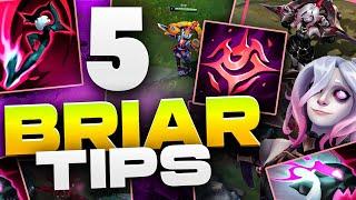 5 TIPS You NEED To Know For BRIAR L0ganJG