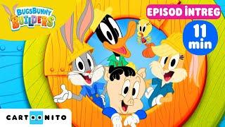 Bugs Bunny Constructorii  Mare brânză Episod Complet in Romana  Cartoonito