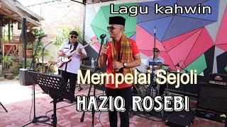 Mempelai Sejoli - Haziq Rosebi Official Music Video
