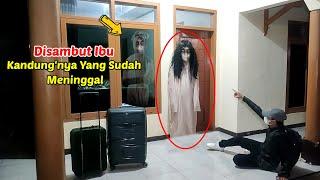  VIRAL  Pulang Jadi TkiAnak Usia 23 Tahun Dikejutkan Ibunya Yang Sudah Meninggal