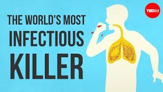 What makes tuberculosis TB the worlds most infectious killer? - Melvin Sanicas