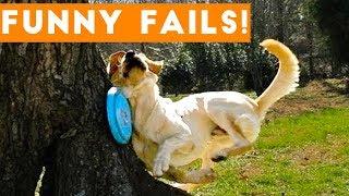 TRY NOT to LAUGH Animals FUNNY PET FAILS Compilation  2018  Epic Pet Videos & Moments