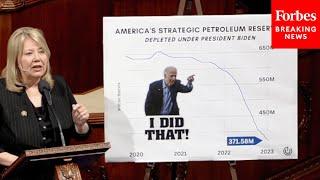 ‘This Administration Has No Plan’ Debbie Lesko Blasts Biden’s Energy Strategy