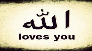 Allah loves you - Maulana Tariq Jameel - Heart touching Bayan