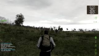 arma2OA DayZ test