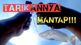 Mancing pinggiran  Casting pemula