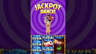 Watch the #Cat #Jackpot #Dance