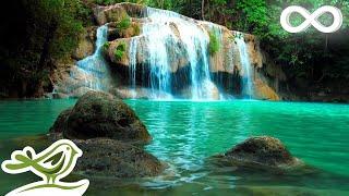 Relaxing Zen Music with Water Sounds • Peaceful Ambience for Spa Yoga and Relaxation