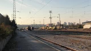 Pleven Station - Bulgarian train