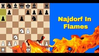 Slovenian Tal Crushes Najdorf  Albin Planinc vs Miguel Najdorf Hoogovens 1973