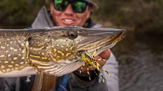 Topwater SPIDER Pike