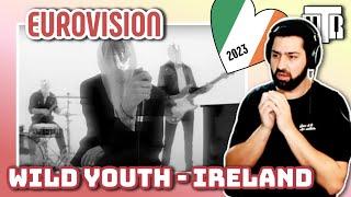 Ireland Eurovision 2023 - Music Teacher analyses We Are One by Wild Youth Reaction