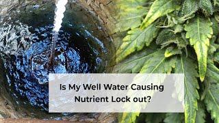 Well Water - How to Treat and Clean Water for Growing Plants