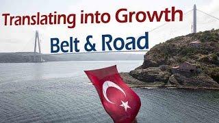 Translating into Growth Turkish banks on Belt and Road to boost trade