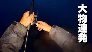 夜明けの釣りは最高です。