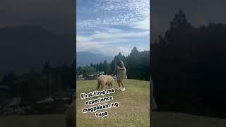 First time ma experience #shortvideo  #shorts  #short  #sheep  #whenintaiwan