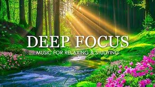 Deep Focus Music To Improve Concentration - 12 Hours of Ambient Study Music to Concentrate #766