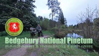 Bedgebury National Pinetum Kent Walks Series