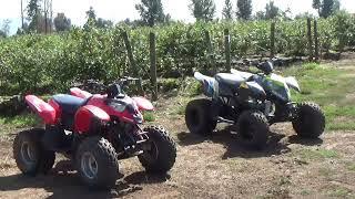 Which Kids ATV is for you?? 50cc 90cc and 110cc Side by Side.