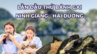 LẦN ĐẦU ĂN THỬ BÁNH GAI NINH GIANG HẢI DƯƠNG  Puta Ăn Gì