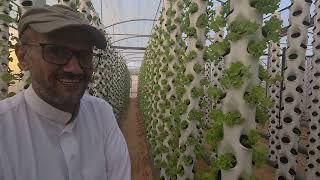 شاب سعودي ينجح في صنع بيت محمي بمواصفات خاصة ونظام مميز للزراعة المائية بأعداد كبيرة