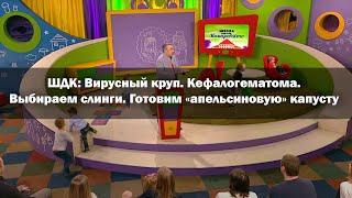 ШДК Вирусный круп. Кефалогематома. Выбираем слинги. Готовим «апельсиновую» капусту