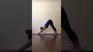 Mitra Razavi - Adho Mukha Svanasana