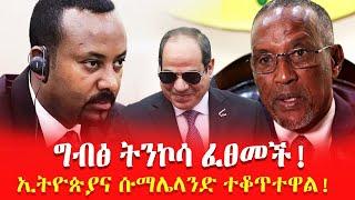 ግብፅ ትንኮሳ ፈፀመች  ኢትዮጵያና ሱማሌላንድ ተቆጥተዋል