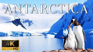 FLYING OVER ANTARCTICA 4K UHD - Calm Music With Stunning Beautiful Nature 4K Video Ultra HD