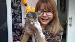 MANDI BARENG KUCING DAN ANJING KU  MANJA BANGETTTT